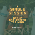 Group Goalkeeper Training Session